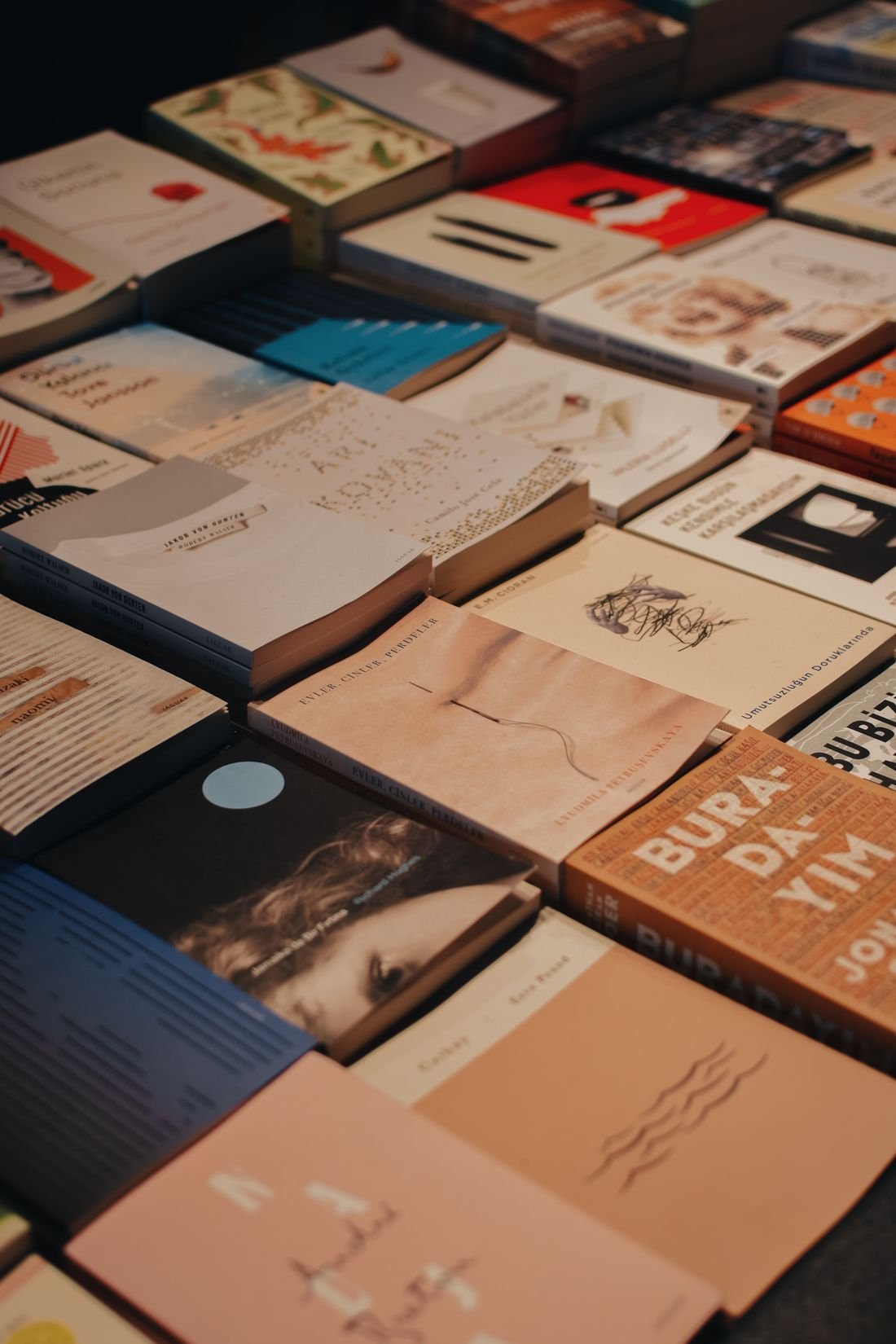 Books arranged in a bookstore display, ready to be discovered