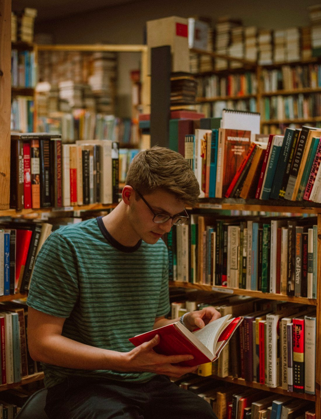A reader discovering a book among bookstore shelves
